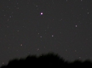 アイソンすい星2013-11-8-4（トリミング）.jpg