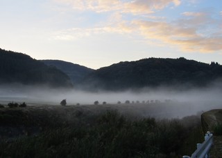 朝の霧.jpg